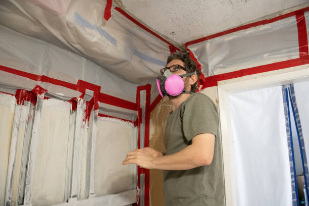 Best Comprehensive Air Testing for Mold Contaminants  in Wtmore Village, HI